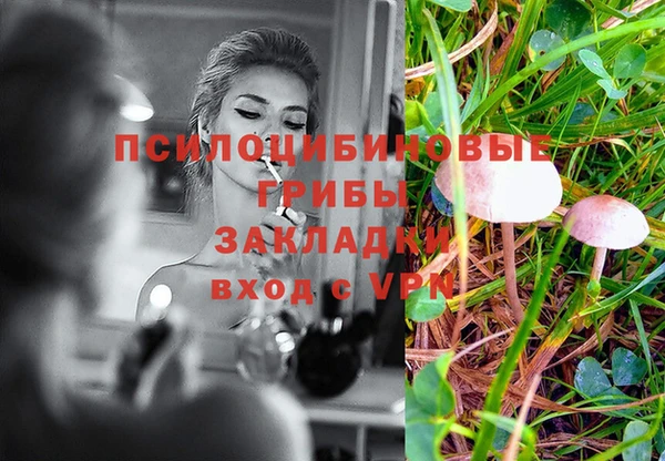метадон Алзамай
